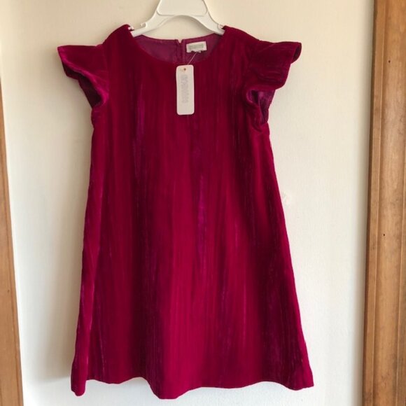 GYMBOREE Deep Pink Flutter Sleeve Velour Dress Girls 4 - Picture 8 of 15
